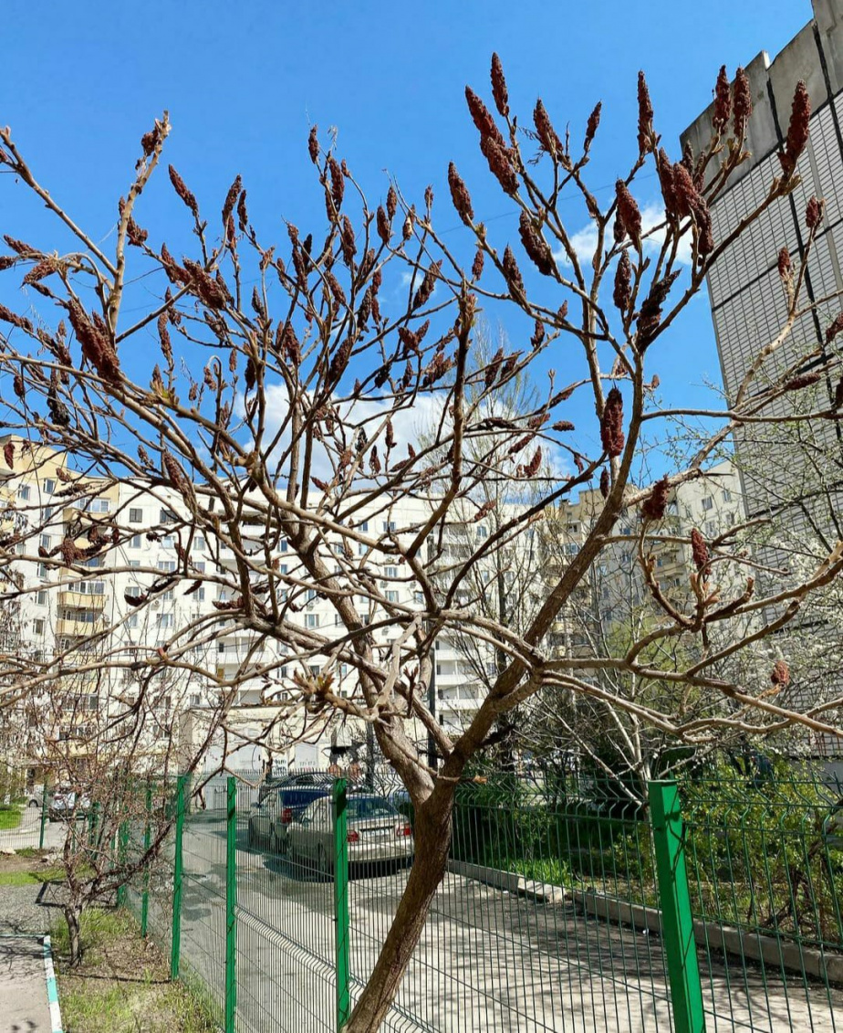 Многоэтажку на Воровского в Батайске залило вонючими стоками - Газета Вперед