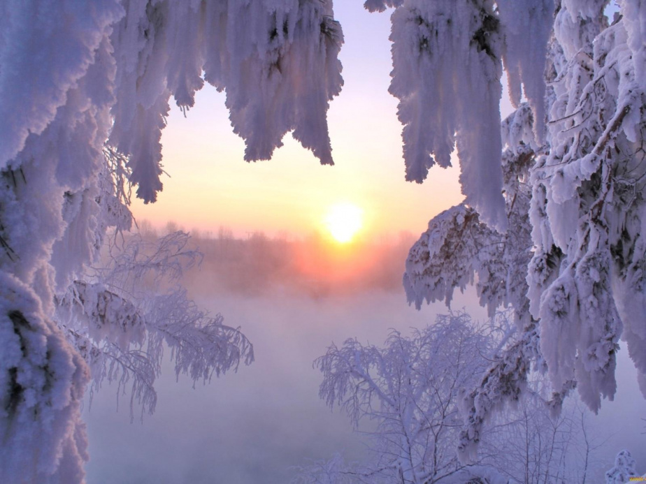 Рассвет в зимнем лесу. Зимний лес солнце. Морозное утро. Зимнее утро. Полный месяц февраля